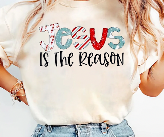 Jesus is the reason Tee/Sweatshirt( type in color tshirt/sweatshirt in text box)