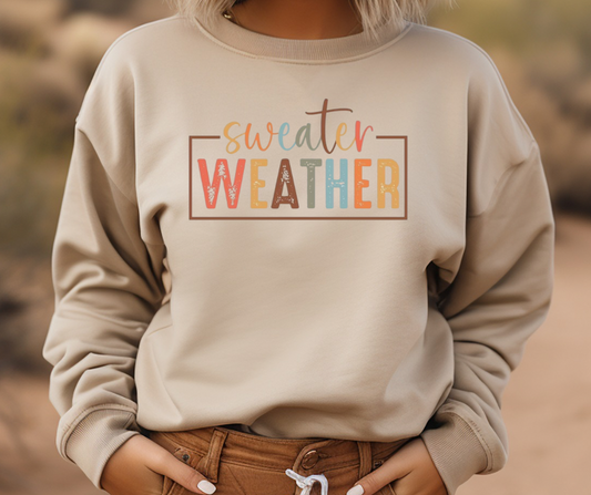 Sweater Weather Tee/Sweatshirt( type in color tshirt/sweatshirt in text box)