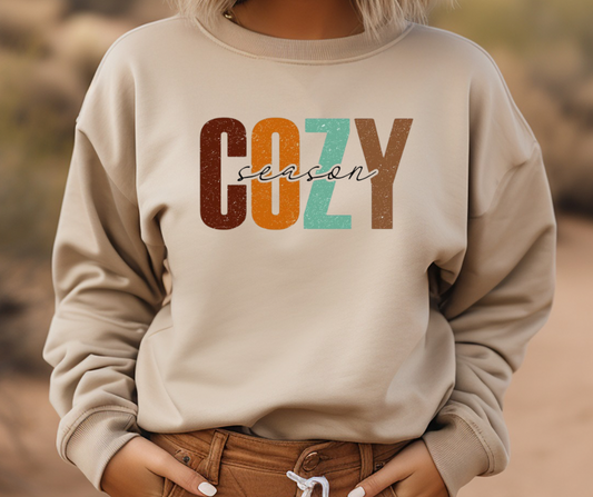 Cozy Season Tee/Sweatshirt( type in color tshirt/sweatshirt in text box)