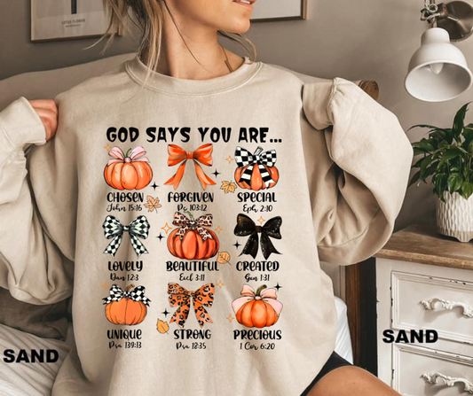 God says you are Tee/Sweatshirt( type in color tshirt/sweatshirt in text box)